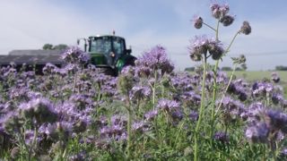 L'implantation de couverts végétaux est un des principes de l'agriculture régénératrice.